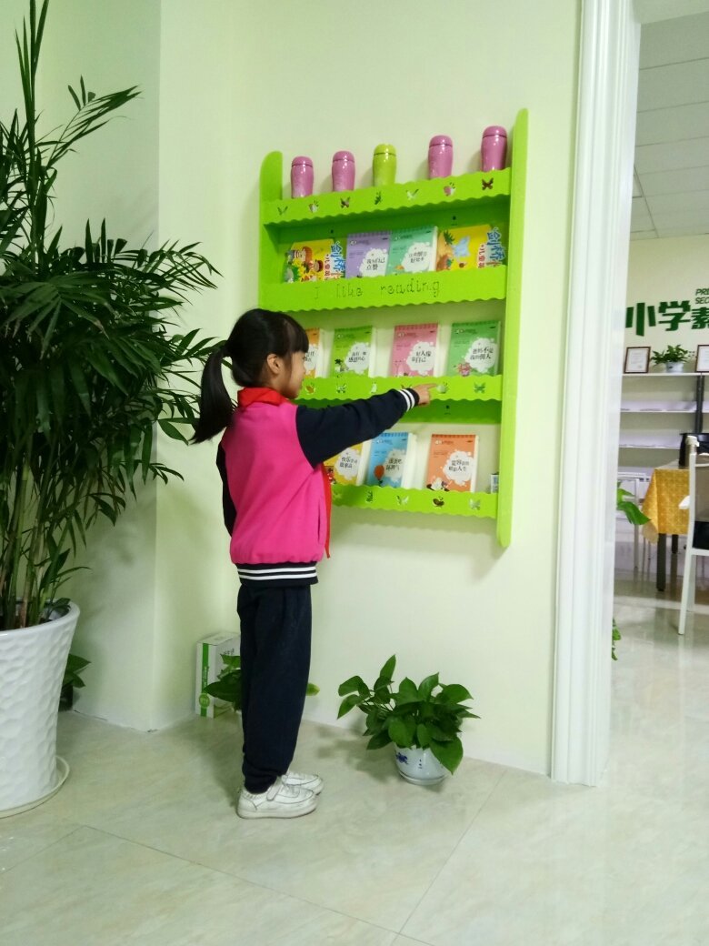 深耕教育沃土，青果智启未来——宁波青果教育咨询发展探析